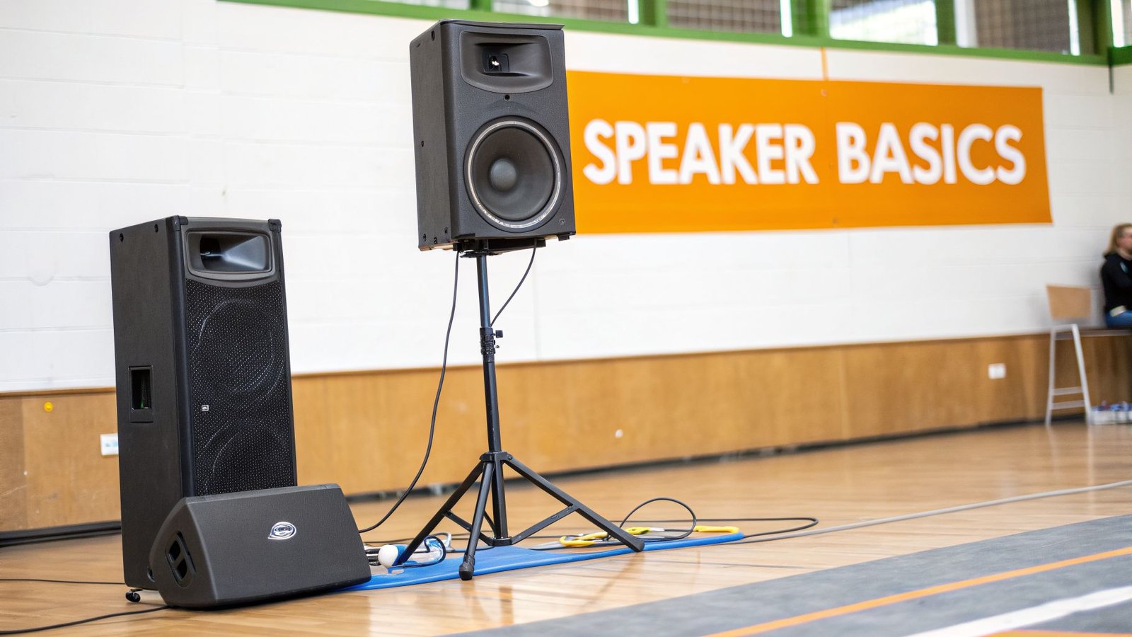 Black professional PA system speakers, including a main speaker on a stand and a floor monitor.